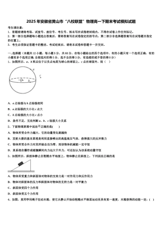 2025年安徽省黄山市“八校联盟”物理高一下期末考试模拟试题含解析