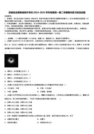 安徽省合肥新城高升学校2024-2025学年物理高一第二学期期末复习检测试题含解析