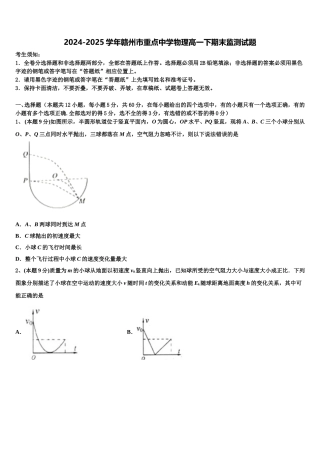 2024-2025学年赣州市重点中学物理高一下期末监测试题含解析
