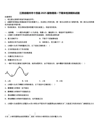 江西省赣州市十四县2025届物理高一下期末检测模拟试题含解析