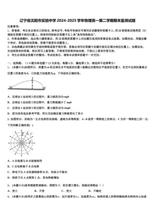 辽宁省沈阳市实验中学2024-2025学年物理高一第二学期期末监测试题含解析