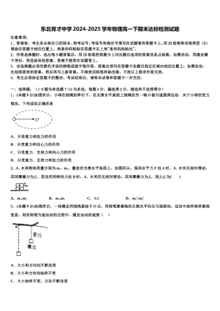 东北育才中学2024-2025学年物理高一下期末达标检测试题含解析