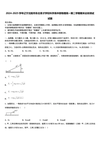 2024-2025学年辽宁沈阳市东北育才学校科学高中部物理高一第二学期期末达标测试试题含解析