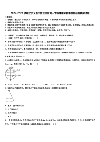 2024-2025学年辽宁大连市普兰店区高一下物理期末教学质量检测模拟试题含解析