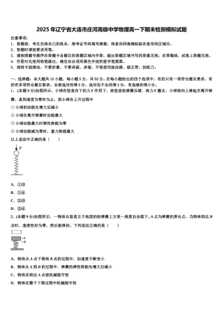 2025年辽宁省大连市庄河高级中学物理高一下期末检测模拟试题含解析