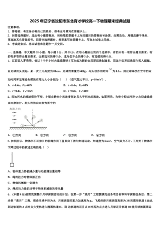 2025年辽宁省沈阳市东北育才学校高一下物理期末经典试题含解析