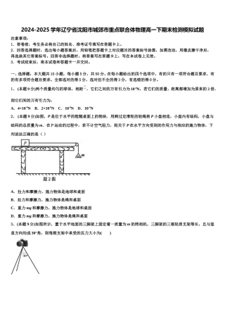 2024-2025学年辽宁省沈阳市城郊市重点联合体物理高一下期末检测模拟试题含解析