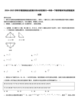 2024-2025学年宁夏回族自治区银川市兴庆区银川一中高一下数学期末学业质量监测试题含解析