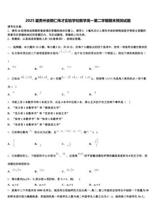 2025届贵州省铜仁伟才实验学校数学高一第二学期期末预测试题含解析