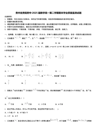 贵州省贵阳附中2025届数学高一第二学期期末学业质量监测试题含解析