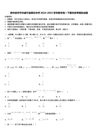 贵州省毕节市威宁县黑石中学2024-2025学年数学高一下期末统考模拟试题含解析