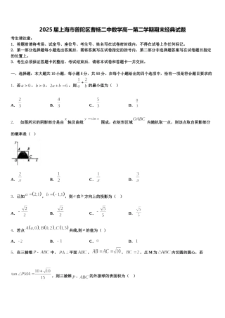 2025届上海市普陀区曹杨二中数学高一第二学期期末经典试题含解析