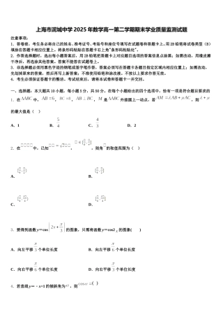 上海市泥城中学2025年数学高一第二学期期末学业质量监测试题含解析