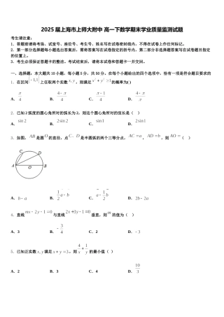 2025届上海市上师大附中 高一下数学期末学业质量监测试题含解析