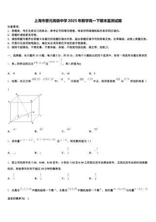 上海市晋元高级中学2025年数学高一下期末监测试题含解析