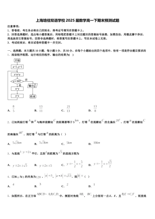 上海培佳双语学校2025届数学高一下期末预测试题含解析