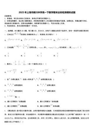 2025年上海市新川中学高一下数学期末达标检测模拟试题含解析
