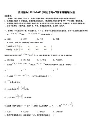 四川省凉山2024-2025学年数学高一下期末调研模拟试题含解析