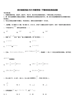 四川省射洪县2025年数学高一下期末综合测试试题含解析