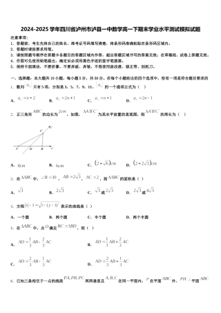 2024-2025学年四川省泸州市泸县一中数学高一下期末学业水平测试模拟试题含解析