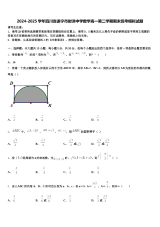 2024-2025学年四川省遂宁市射洪中学数学高一第二学期期末统考模拟试题含解析