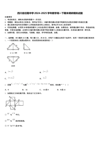 四川省任隆中学2024-2025学年数学高一下期末调研模拟试题含解析