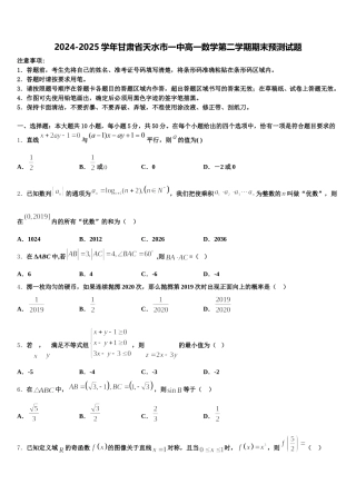 2024-2025学年甘肃省天水市一中高一数学第二学期期末预测试题含解析