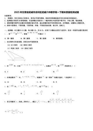 2025年甘肃省武威市凉州区武威六中数学高一下期末质量检测试题含解析