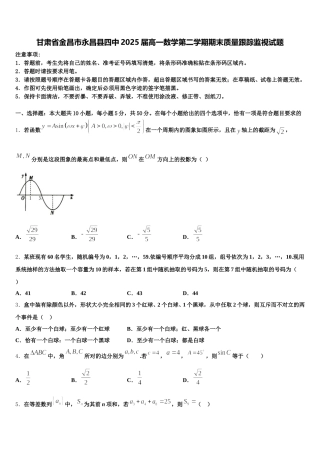 甘肃省金昌市永昌县四中2025届高一数学第二学期期末质量跟踪监视试题含解析