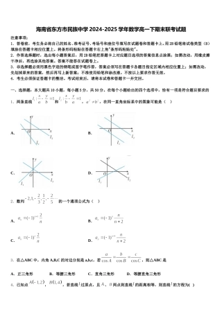 海南省东方市民族中学2024-2025学年数学高一下期末联考试题含解析