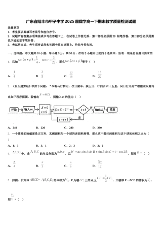 广东省陆丰市甲子中学2025届数学高一下期末教学质量检测试题含解析