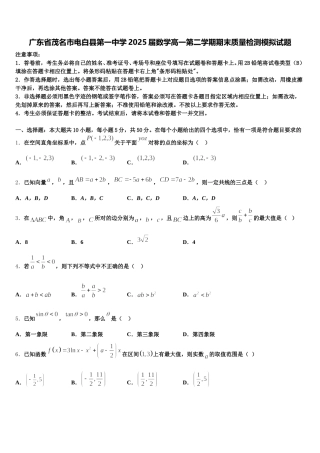 广东省茂名市电白县第一中学2025届数学高一第二学期期末质量检测模拟试题含解析