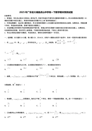 2025年广东省大埔县虎山中学高一下数学期末预测试题含解析