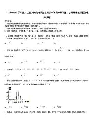 2024-2025学年黑龙江省大兴安岭漠河县高级中学高一数学第二学期期末达标检测模拟试题含解析