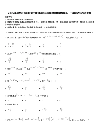 2025年黑龙江省哈尔滨市哈尔滨师范大学附属中学数学高一下期末达标检测试题含解析
