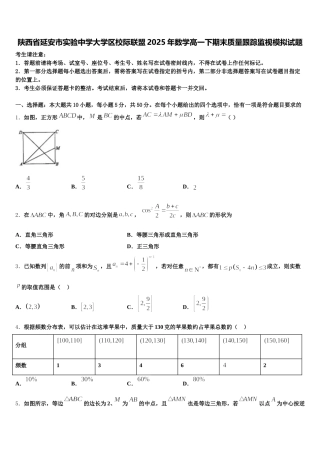 陕西省延安市实验中学大学区校际联盟2025年数学高一下期末质量跟踪监视模拟试题含解析