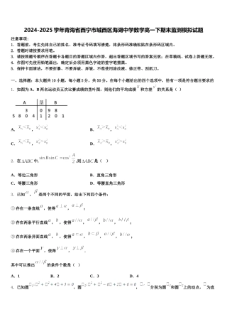 2024-2025学年青海省西宁市城西区海湖中学数学高一下期末监测模拟试题含解析