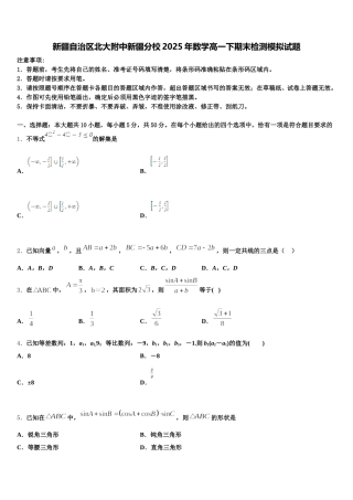 新疆自治区北大附中新疆分校2025年数学高一下期末检测模拟试题含解析