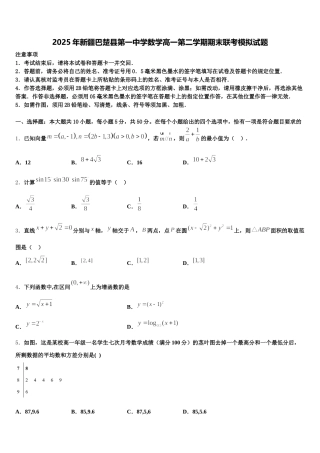2025年新疆巴楚县第一中学数学高一第二学期期末联考模拟试题含解析