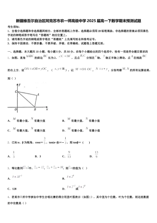新疆维吾尔自治区阿克苏市农一师高级中学2025届高一下数学期末预测试题含解析