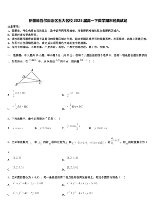 新疆维吾尔自治区五大名校2025届高一下数学期末经典试题含解析