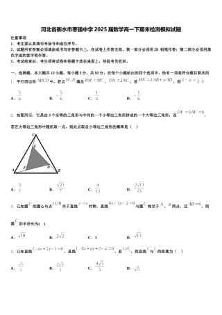 河北省衡水市枣强中学2025届数学高一下期末检测模拟试题含解析