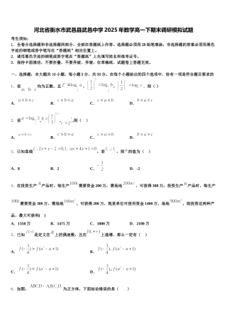 河北省衡水市武邑县武邑中学2025年数学高一下期末调研模拟试题含解析