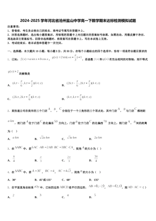 2024-2025学年河北省沧州盐山中学高一下数学期末达标检测模拟试题含解析