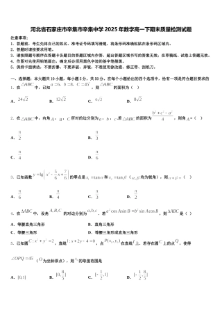 河北省石家庄市辛集市辛集中学2025年数学高一下期末质量检测试题含解析