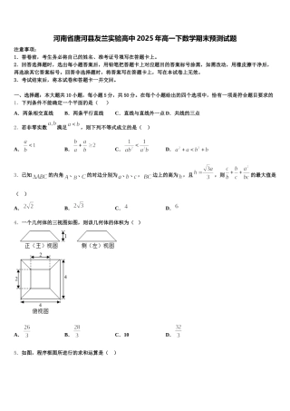 河南省唐河县友兰实验高中2025年高一下数学期末预测试题含解析