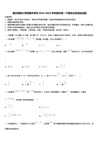 重庆西南大学附属中学校2024-2025学年数学高一下期末达标测试试题含解析