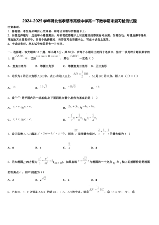 2024-2025学年湖北省孝感市高级中学高一下数学期末复习检测试题含解析