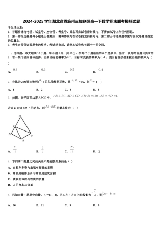 2024-2025学年湖北省恩施州三校联盟高一下数学期末联考模拟试题含解析