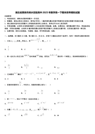 湖北省黄岗市浠水实验高中2025年数学高一下期末统考模拟试题含解析